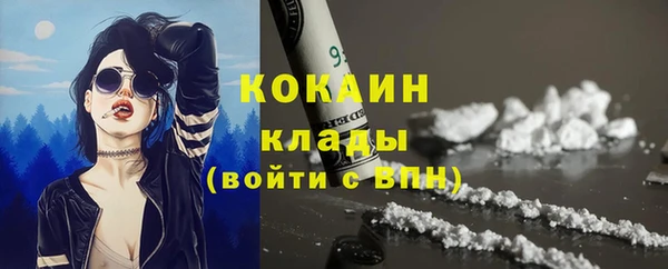 сатива Струнино
