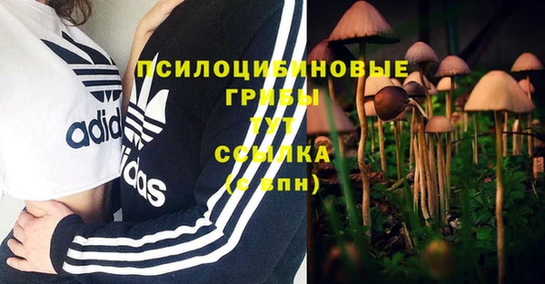 сатива Струнино